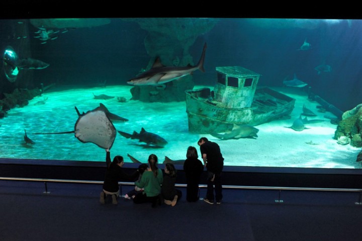 -® Aqua Press web.jpg